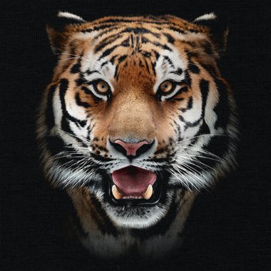 Stylisches Tiger-Shirt - Fr Kinder, Damen und Herren - Baumwolle in verschiedenen Gren Damen Rundhals XS